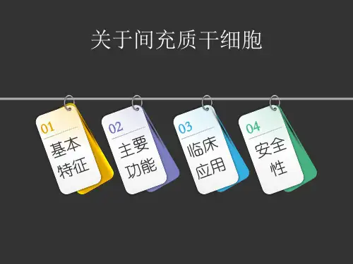 间充质干细胞