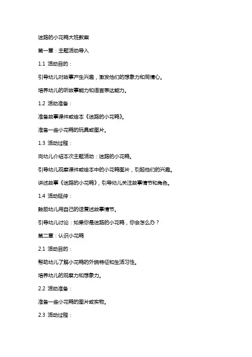 迷路的小花鸭大班教案