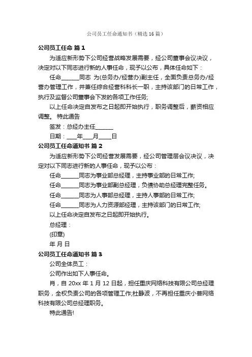 公司员工任命通知书（精选16篇）