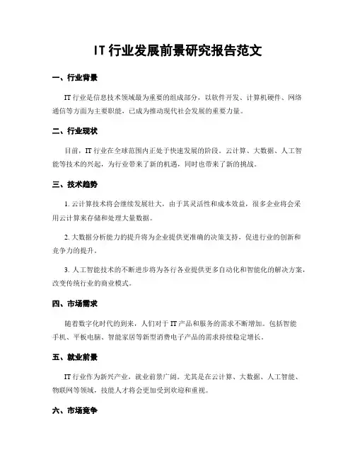 IT行业发展前景研究报告范文