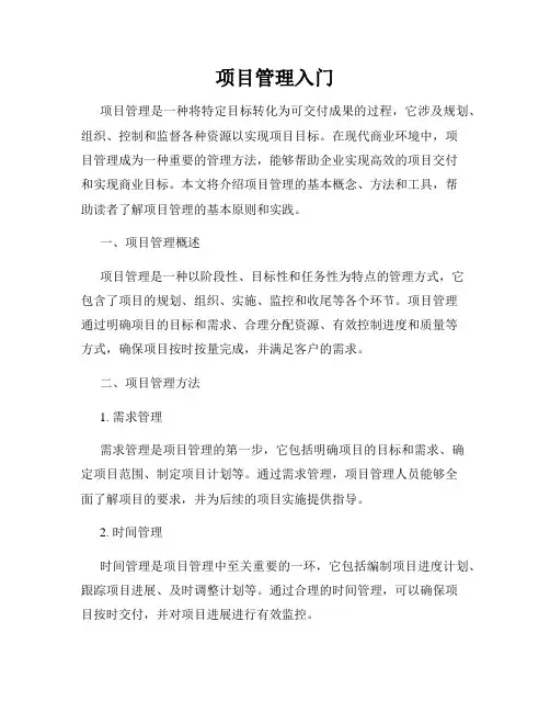 项目管理入门