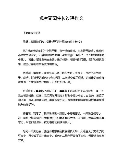 观察葡萄生长过程作文
