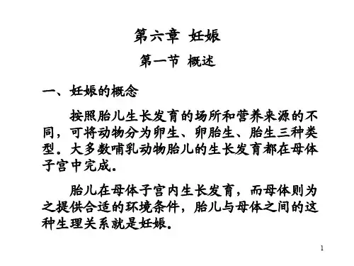 6-妊娠