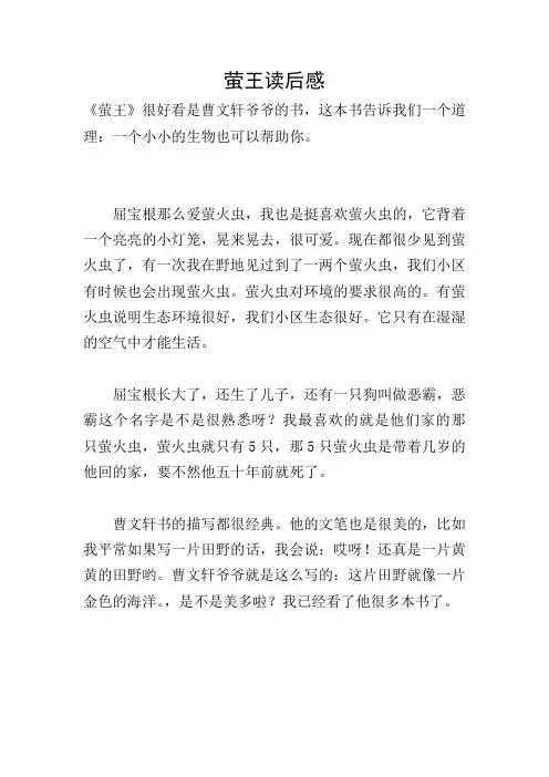 萤王读后感
