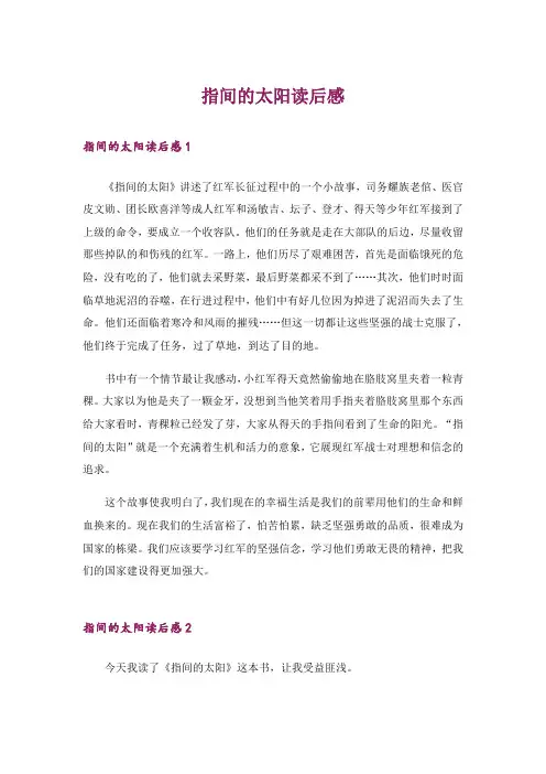 指间的太阳读后感