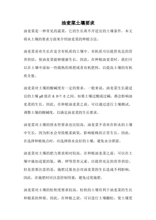 油麦菜土壤要求