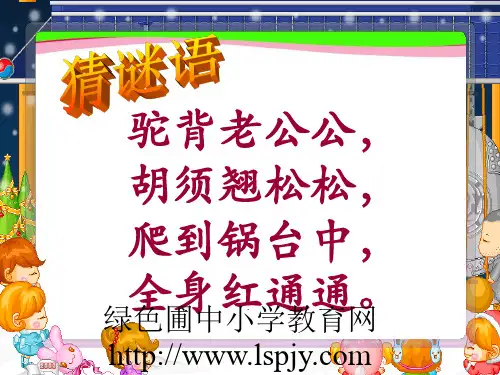 《小虾》PPT课件  省一等奖课件