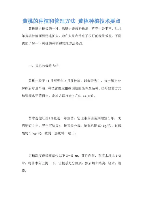 黄桃的种植和管理方法 黄桃种植技术要点
