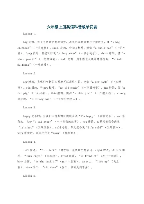 六年级上册英语科普版单词表