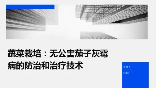 蔬菜栽培：无公害茄子灰霉病的防治和治疗技术
