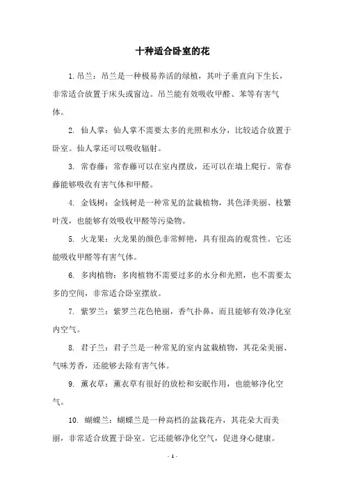 十种适合卧室的花