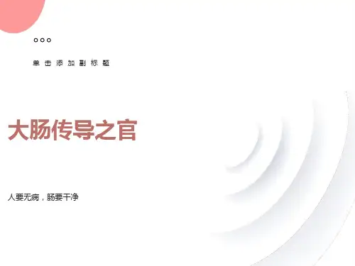 手阳明大肠经及其作用