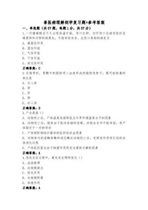 兽医病理解剖学复习题+参考答案