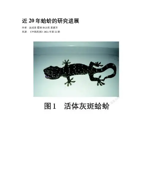 近20年蛤蚧的研究进展