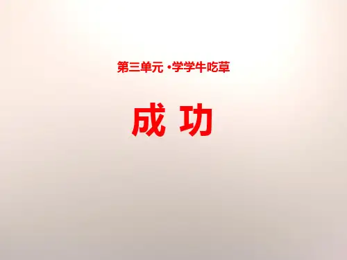 《成功》课件PPT