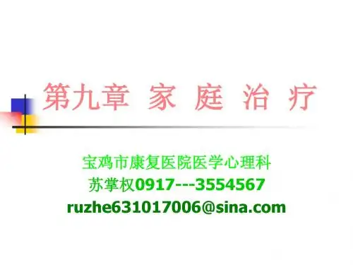 第九章  家庭治疗