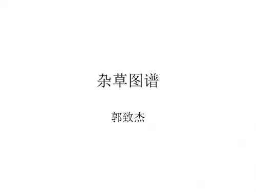 常见杂草图谱