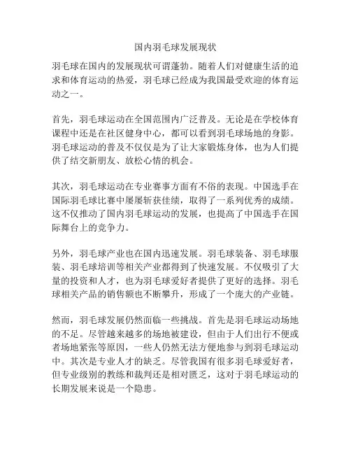 国内羽毛球发展现状
