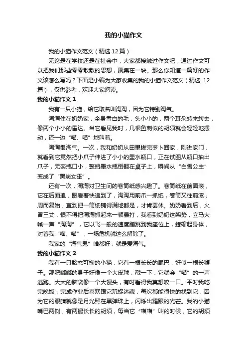 我的小猫作文范文（精选12篇）