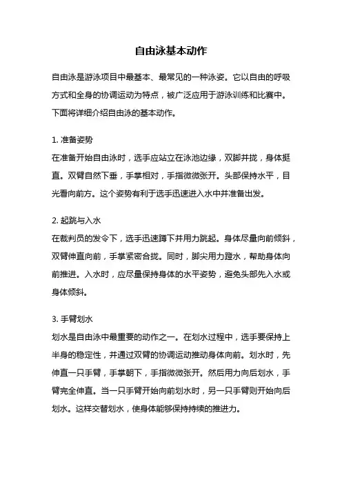 自由泳基本动作