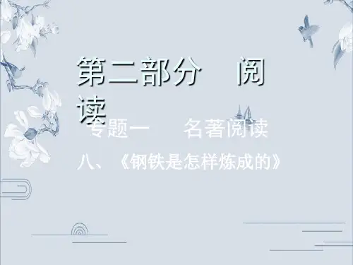 2020年浙江中考语文复习 专题一   名著阅读(八)