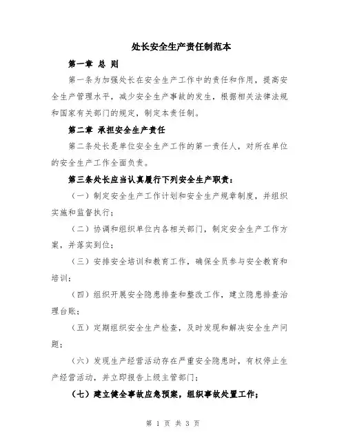处长安全生产责任制范本