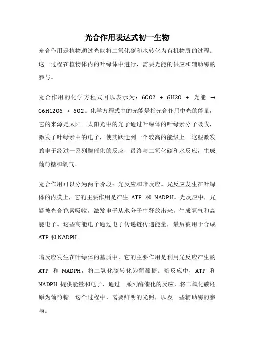 光合作用表达式初一生物