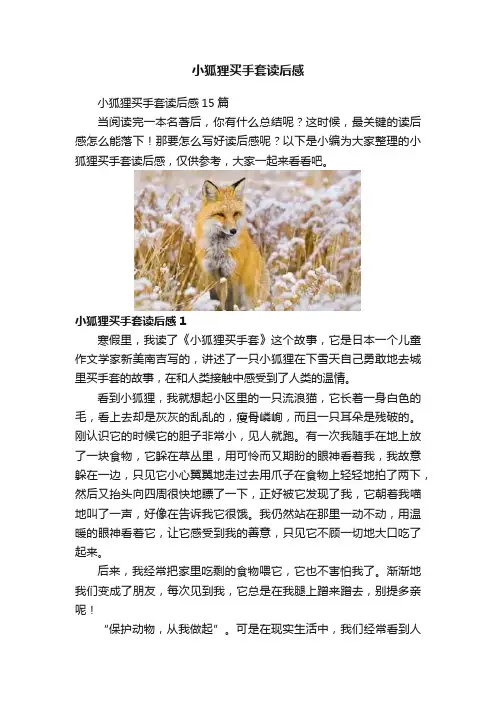 小狐狸买手套读后感