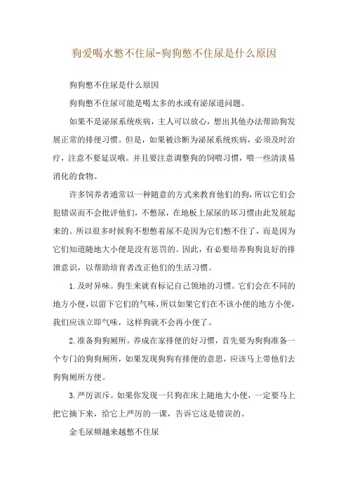 狗爱喝水憋不住尿-狗狗憋不住尿是什么原因