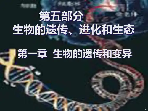 生物的遗传、进化和生态.pptx