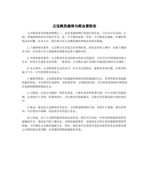 元宝枫的栽培与病虫害防治