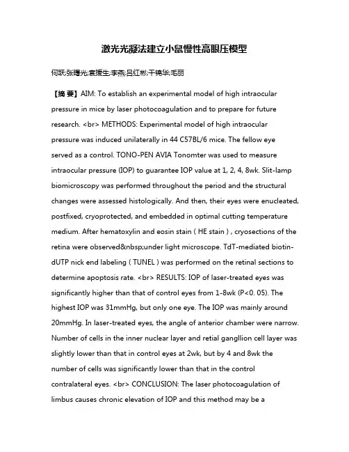 激光光凝法建立小鼠慢性高眼压模型