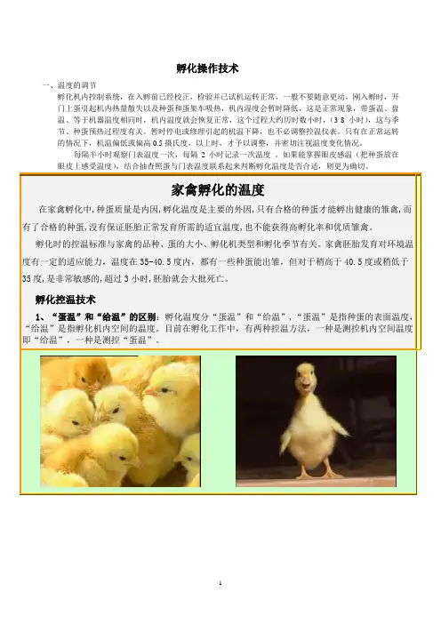 孵化技术