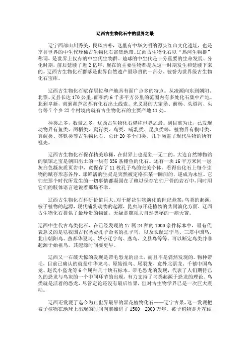 辽西古生物化石中的世界之最