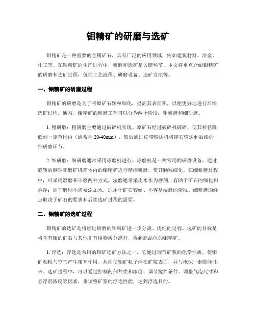 钼精矿的研磨与选矿