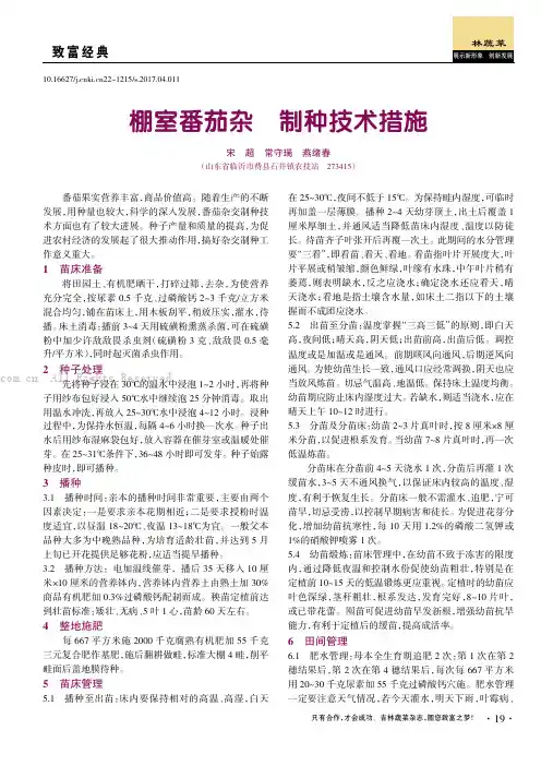 棚室番茄杂交制种技术措施