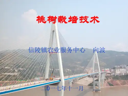 桃树的栽培技术