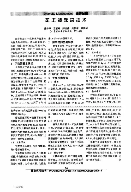 阳丰柿栽培技术