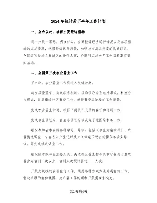 2024年统计局下半年工作计划(2篇)