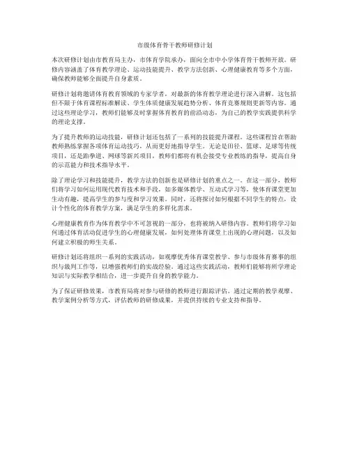 市级体育骨干教师研修计划