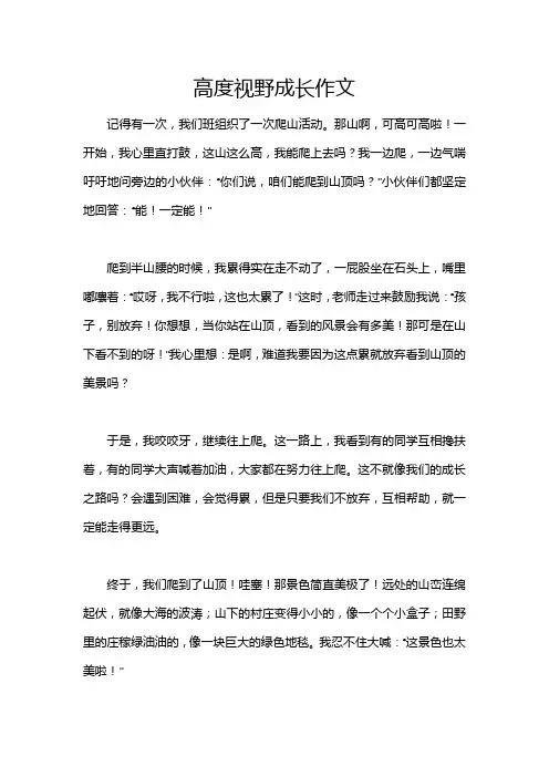 高度视野成长作文