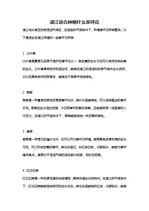 湛江适合种植什么草坪花