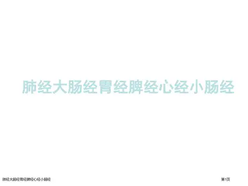 肺经大肠经胃经脾经心经小肠经