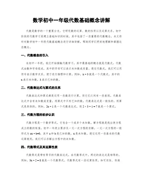 数学初中一年级代数基础概念讲解
