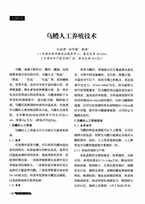 乌鳢人工养殖技术