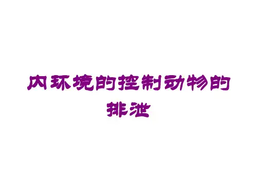 内环境的控制动物的排泄培训课件