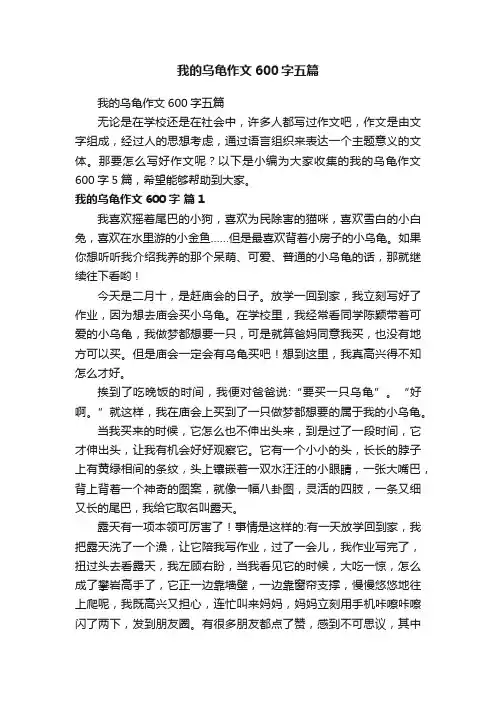 我的乌龟作文600字五篇