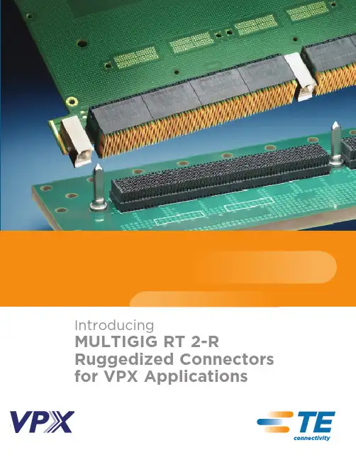 MULTIGIG RT 2-R 多功能高速接口连接器说明书