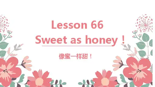 新概念英语第二册Lesson+66+Sweet+as+honey课件