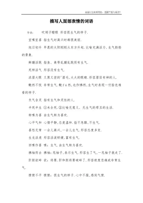 描写人面部表情的词语
